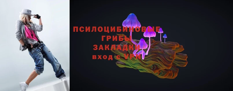 KRAKEN как зайти  Белинский  Псилоцибиновые грибы Magic Shrooms 